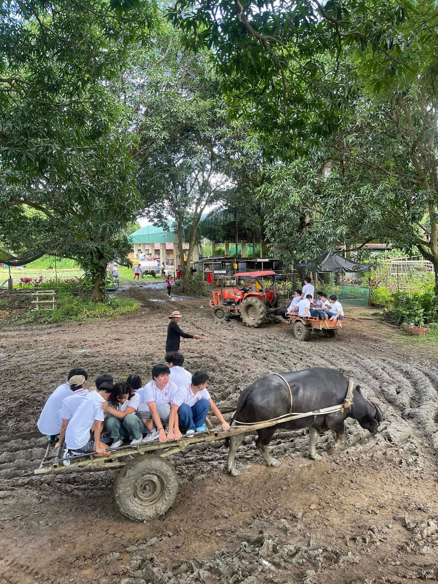 Farm Tour